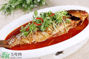 枇杷和魚能一起吃嗎？吃完魚可以吃枇杷嗎？