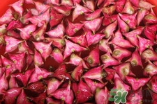 3月份的菱角可以吃嗎？菱角什么時(shí)候吃最好？