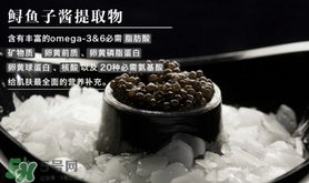 至本是什么牌子？至本什么檔次？