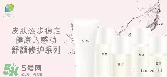 至本是什么牌子？至本什么檔次？