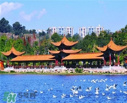 4月份去昆明穿什么？四月份去昆明穿什么衣服？