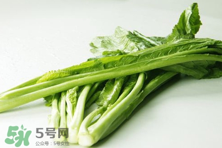 春分要吃春菜嗎？春分為什么要吃春菜？