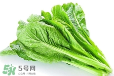 春菜為什么會苦？春菜發(fā)苦能吃嗎？