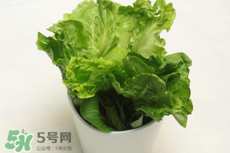 春菜為什么會苦？春菜發(fā)苦能吃嗎？