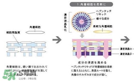 pola極光精華怎么用？pola極光精華使用方法