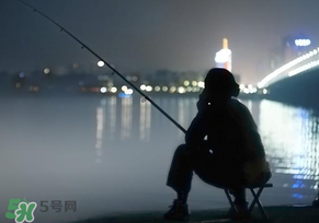 春分能夜釣嗎？春分能釣鯉魚(yú)嗎？