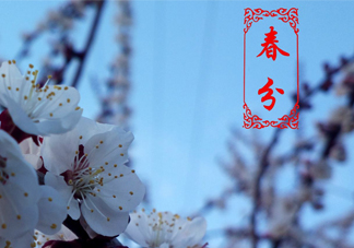 春菜為什么會(huì)苦？春菜發(fā)苦能吃嗎？
