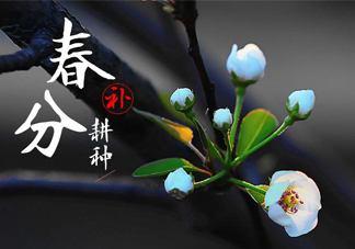 春分吃春菜有什么好處？春菜有什么營(yíng)養(yǎng)價(jià)值？