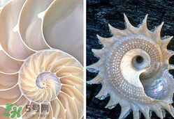 珍珠貝母表盤好嗎？珍珠貝母表盤耐用嗎？