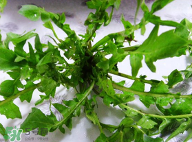 春天吃薺菜好嗎？春天吃薺菜有什么好處？