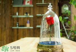 camino美女與野獸音響多少錢(qián)？camino玫瑰藍(lán)牙音箱價(jià)格