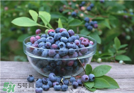 藍(lán)莓一天吃多少為宜？藍(lán)莓每天吃多少合適？
