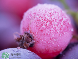 藍(lán)莓變紅可以吃嗎？藍(lán)莓發(fā)紅是壞掉了嘛？