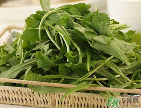 薺菜有毒嗎？吃薺菜會(huì)中毒嗎？