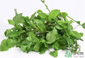 薺菜有毒嗎？吃薺菜會(huì)中毒嗎？