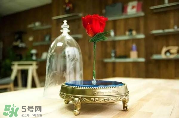 camino美女與野獸音響多少錢(qián)？camino玫瑰藍(lán)牙音箱價(jià)格