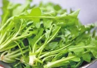 便秘能吃薺菜嗎？便秘可以吃薺菜嗎？