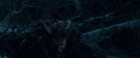 野獸派美女與野獸水晶球多少錢？野獸派音樂(lè)水晶球價(jià)格