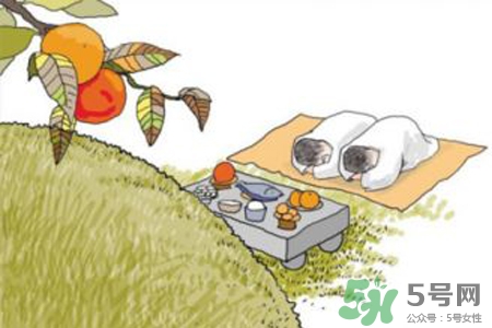 清明節(jié)回家好嗎？清明節(jié)回家探親好不好？