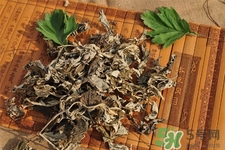 艾草是哪個(gè)季節(jié)的？艾草是什么季節(jié)采摘？