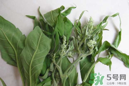 艾草可以泡腳嗎？艾葉泡腳的功效與作用