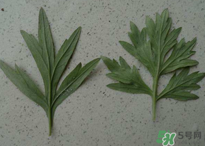 ?蒿子怎么去除苦味？?蒿子粑粑苦是什么原因？