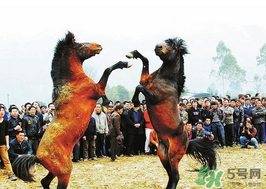 三月三有什么禁忌？三月三有什么講究？