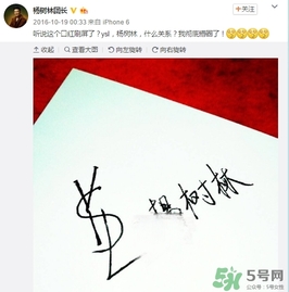楊樹林口紅是什么牌子？楊樹林口紅是哪個國家的？