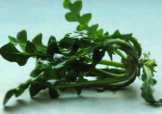 乙肝能吃薺菜嗎？乙肝病人可以吃薺菜嗎？