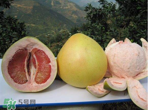 清明節(jié)掃墓帶什么水果？清明節(jié)上墳的水果能吃嗎？