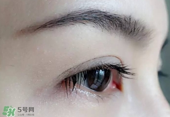 serge lutens蘆丹氏睫毛膏怎么樣？蘆丹氏睫毛膏好不好用？