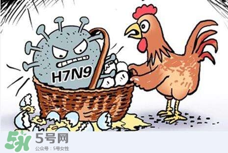 怎樣預(yù)防禽流感？如何預(yù)防禽流感