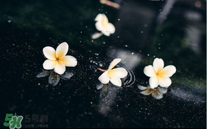 三月份為什么一直下雨？2017年三月份為什么雨多？