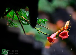 2017年梅雨季節(jié)是幾月？2017年梅雨季節(jié)是什么時(shí)候？