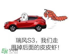 黃鱔為什么火了？黃鱔我們走為什么火了？