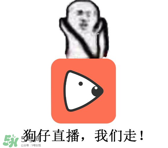 黃鱔為什么火了？黃鱔我們走為什么火了？