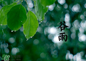 2017年谷雨是幾月幾號(hào)？2017年谷雨是哪一天？