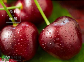 美早櫻桃多少錢一斤？美早櫻桃多少錢一斤2017？