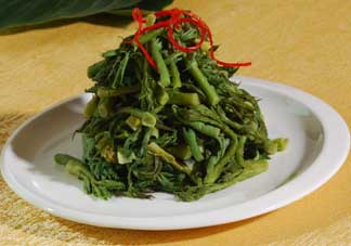 蕨菜什么人不能吃？哪些人不能吃蕨菜？