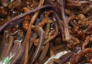 蕨菜能吃嗎？蕨菜可以吃嗎？