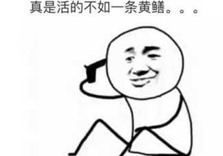 黃鱔有什么錯(cuò)？黃鱔做錯(cuò)了什么？