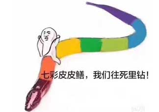 七彩皮皮鱔我們往死里鉆是什么意思？七彩皮皮鱔我們?nèi)€(gè)好地方是什么意思？