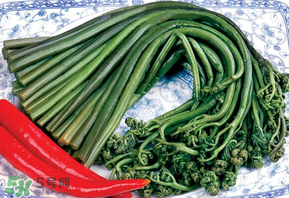 蕨菜有毒嗎？吃蕨菜會中毒嗎？
