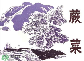 吃蕨菜會(huì)過敏嗎？皮膚過敏能吃蕨菜嗎？