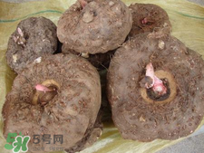 魔芋什么味道？怎么去除魔芋味道？