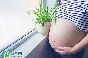 孕婦可以做美甲嗎？美甲對孕婦有什么影響？