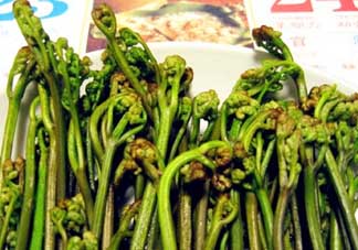 蕨菜有毒嗎？吃蕨菜會(huì)中毒嗎？