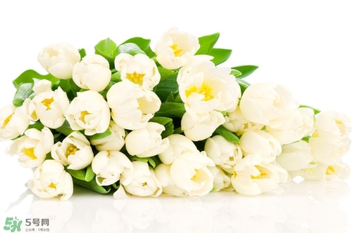 孕婦不能碰那些花 孕期避開(kāi)的花有哪些