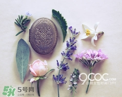 2017固體香膏哪個牌子好？2017固定香膏排行榜
