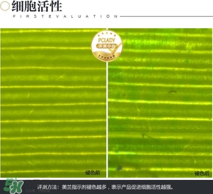 cpb保濕露多少錢？cpb保濕露專柜價格